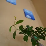 Apartment Ufer - Urlaub In Der Saechsischen Schweiz