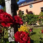 Διαμέρισμα Ufer - Urlaub In Der Saechsischen Schweiz Thuermsdorf
