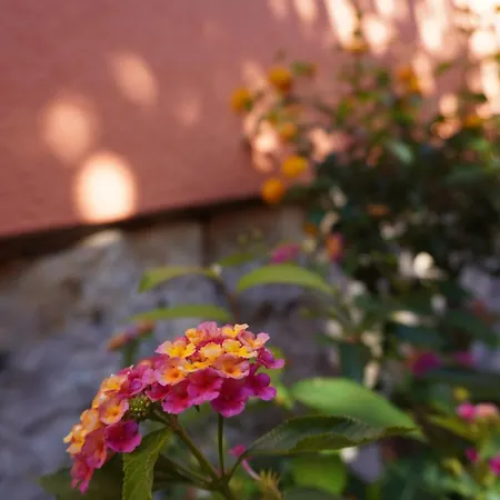 Ufer - Urlaub In Der Saechsischen Schweiz Apartament Thuermsdorf