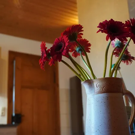 Ufer - Urlaub In Der Saechsischen Schweiz * Thuermsdorf