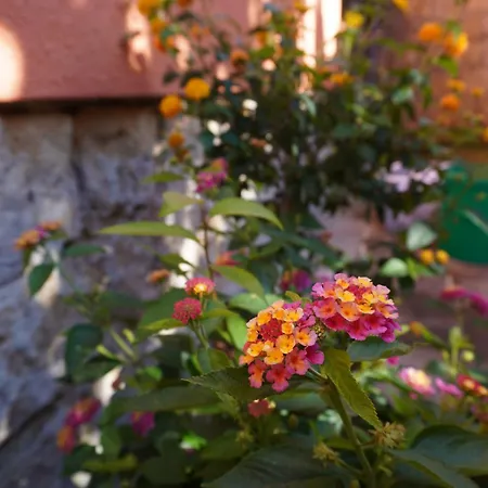 Ufer - Urlaub In Der Saechsischen Schweiz Apartament