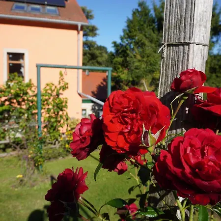 Appartamento Ufer - Urlaub In Der Saechsischen Schweiz