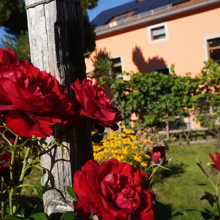 Апартаменты Ufer - Urlaub In Der Saechsischen Schweiz Thuermsdorf