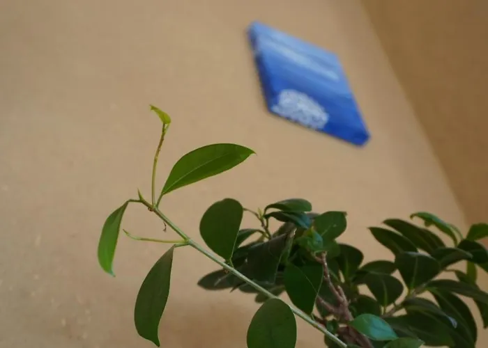 Апартаменты Ufer - Urlaub In Der Saechsischen Schweiz