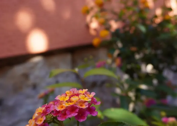 Ufer - Urlaub In Der Saechsischen Schweiz Апартаменты Thuermsdorf