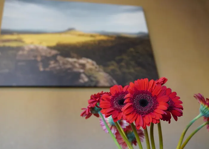 Ufer - Urlaub In Der Saechsischen Schweiz Апартаменты *