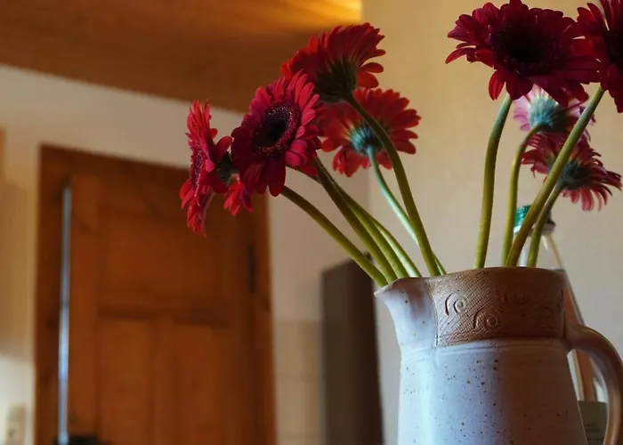 Ufer - Urlaub In Der Saechsischen Schweiz * Thuermsdorf