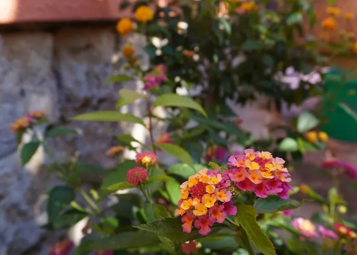 Ufer - Urlaub In Der Saechsischen Schweiz Apartment