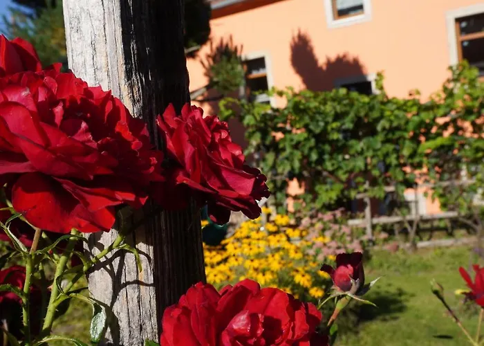 Апартаменты Ufer - Urlaub In Der Saechsischen Schweiz Thuermsdorf